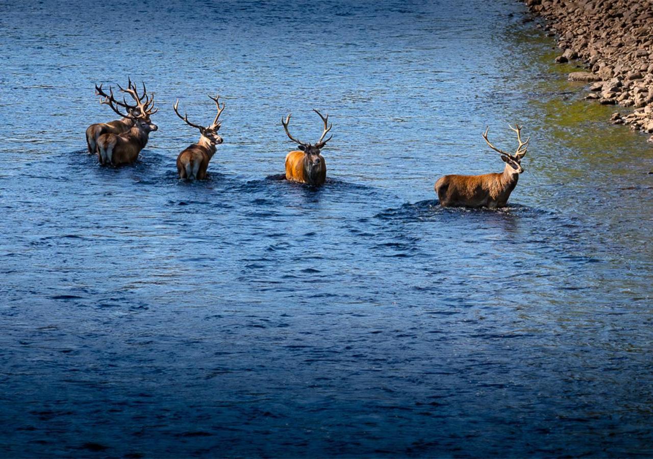 Loch Rannoch And Kinloch Rannoch